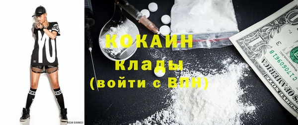 дживик Бронницы